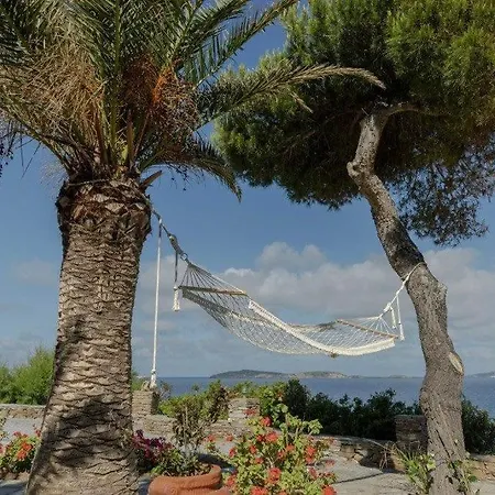 Aneroussa